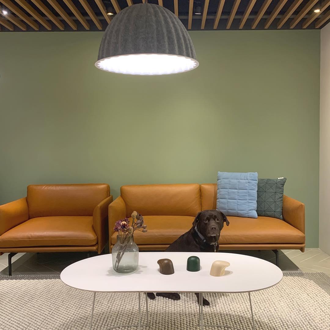 Arieth Felt Classic Pendant Light - Letslighting