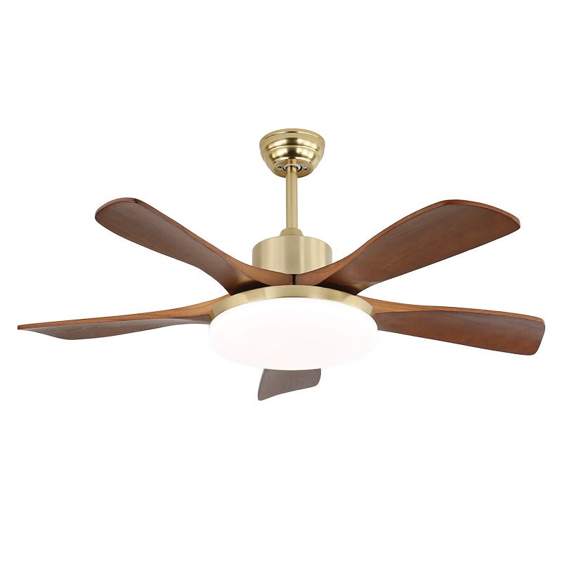 Elara Modern Brass Wood Ceiling Fan Light - Letslighting