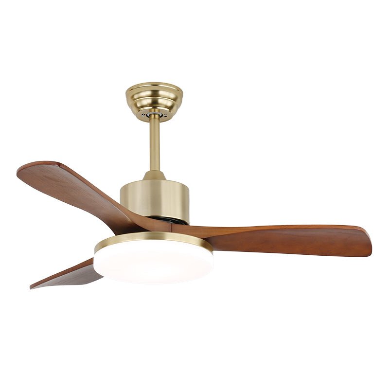 Elara Modern Brass Wood Ceiling Fan Light - Letslighting