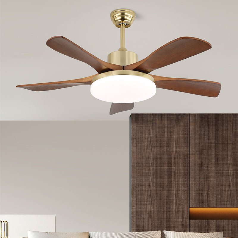 Elara Modern Brass Wood Ceiling Fan Light - Letslighting