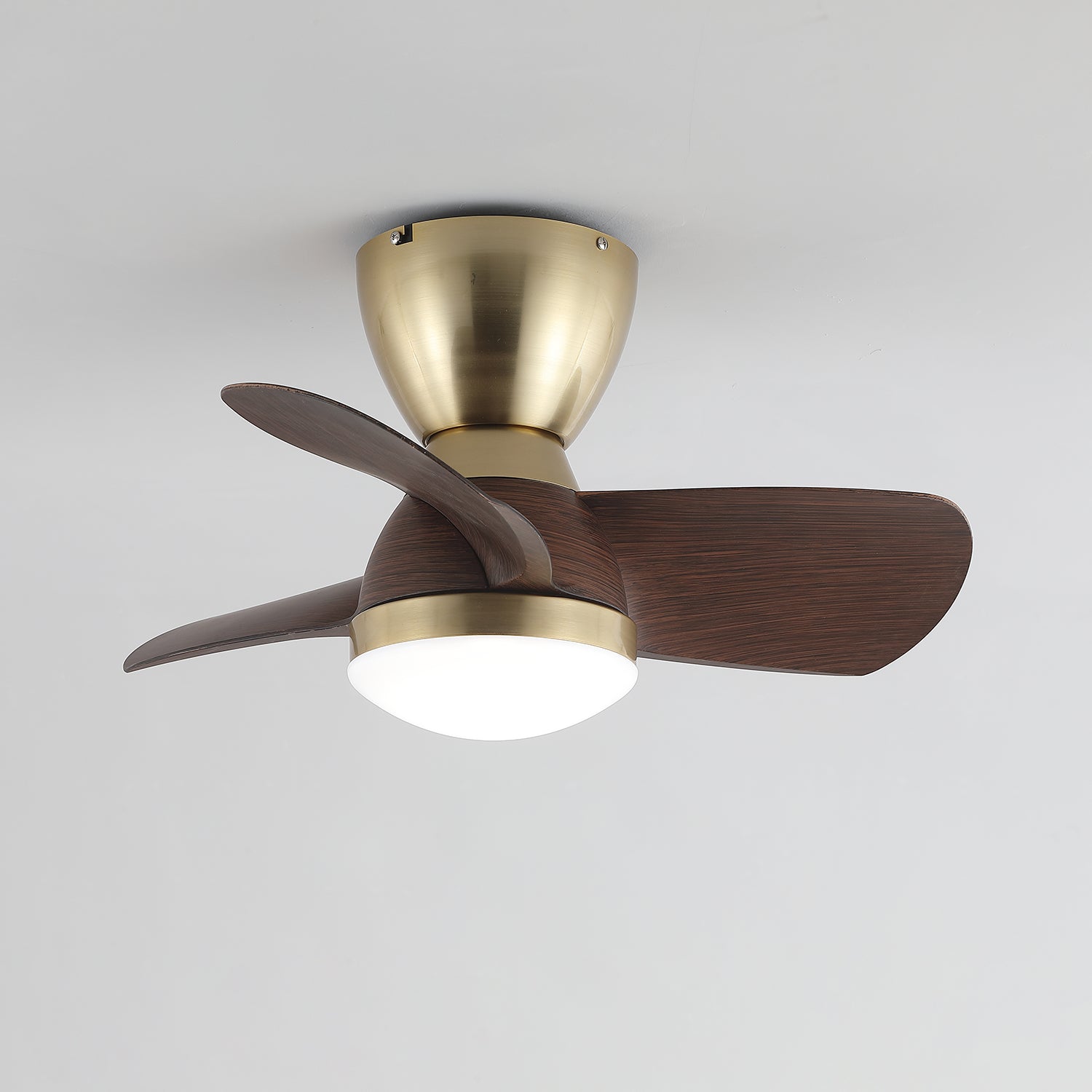 Elora Minimalist Brass Wood Ceiling Fan Light - Letslighting