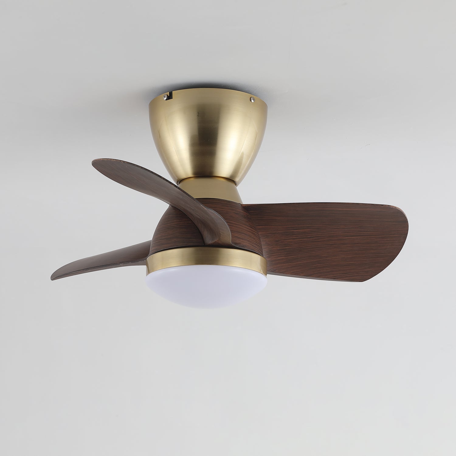 Elora Minimalist Brass Wood Ceiling Fan Light - Letslighting