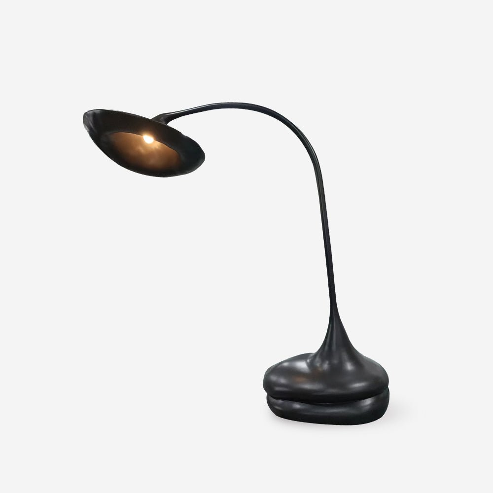 Elsilora Curved Black Desk Lamp - Letslighting