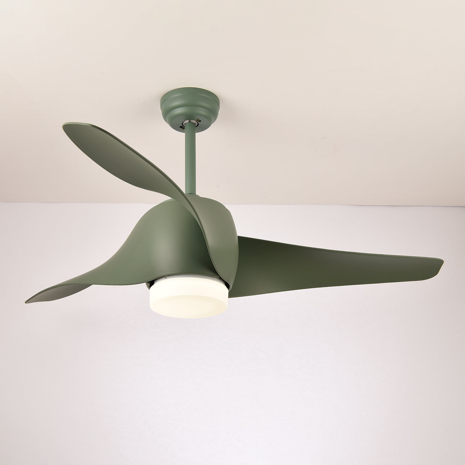 Eden Ceiling Fan Light - Letslighting