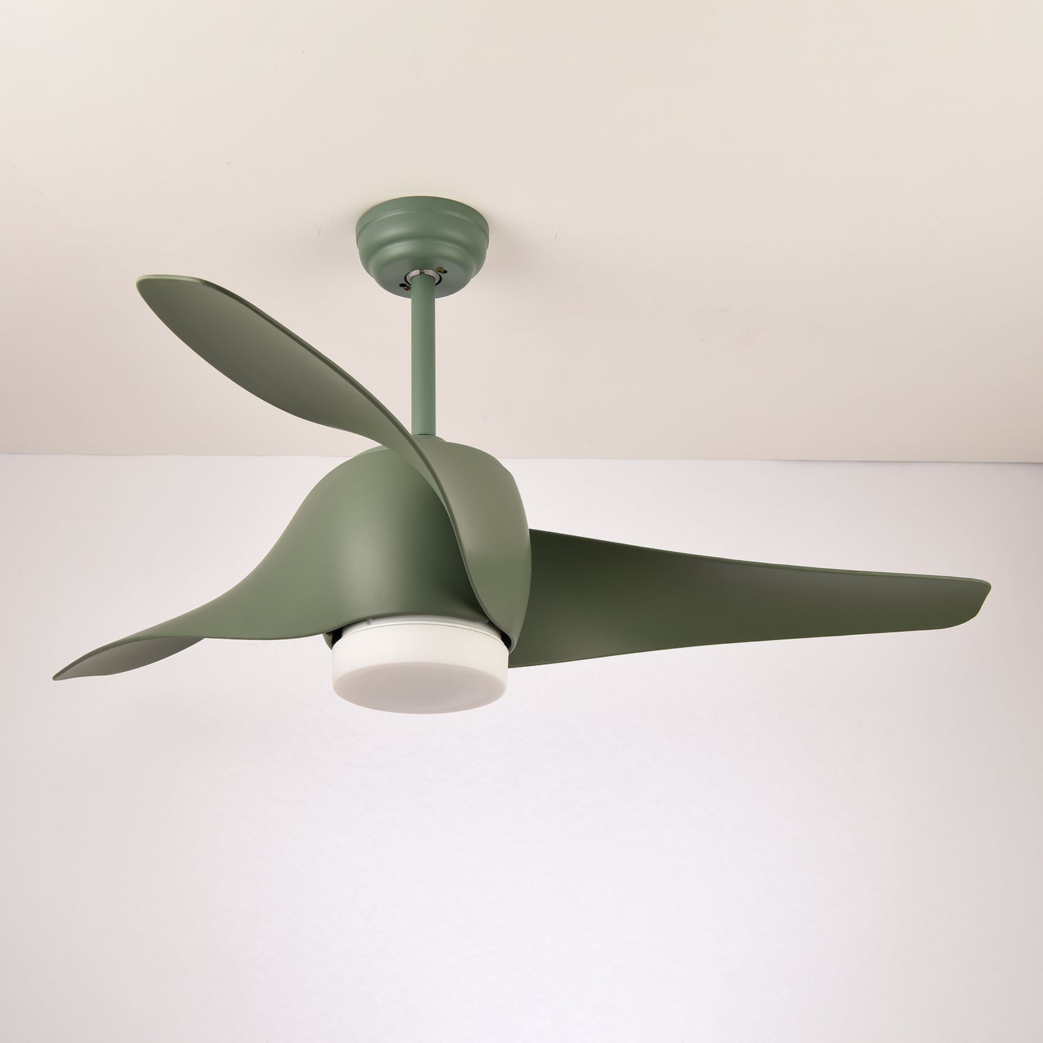 Eden Ceiling Fan Light - Letslighting