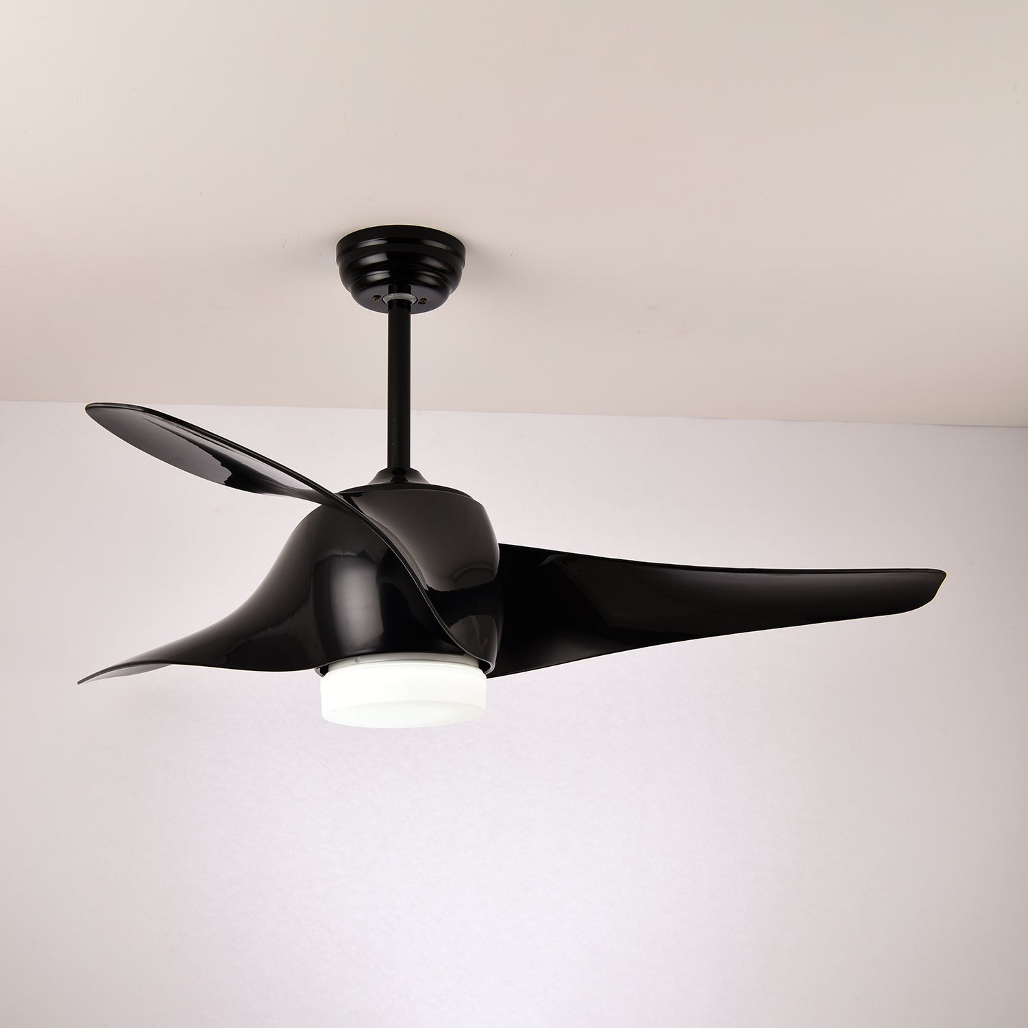 Eden Ceiling Fan Light - Letslighting