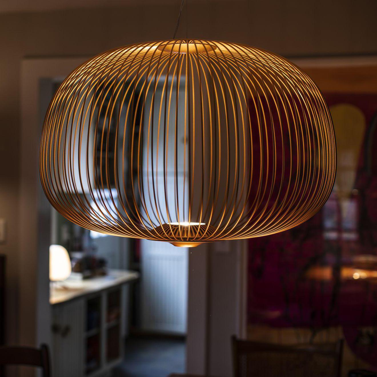 Aero Lightweight Spokes Cage Pendant Light