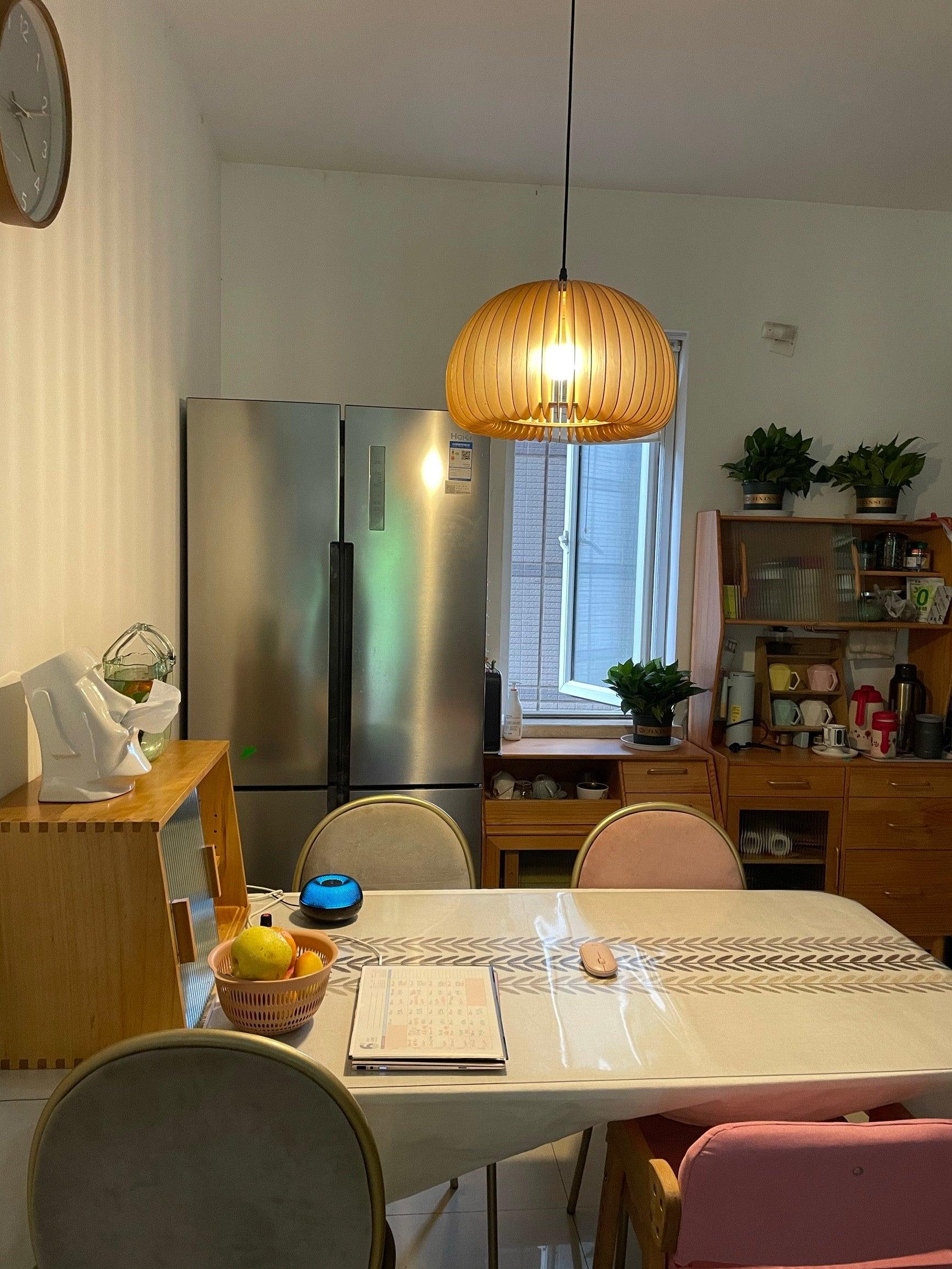 Solara Pendant Lamp Wood Pumpkin Dome Nordic - Letslighting