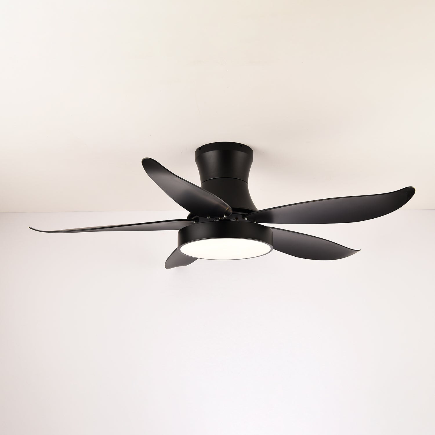 Aveline Modern Black Ceiling Fan Light - Letslighting