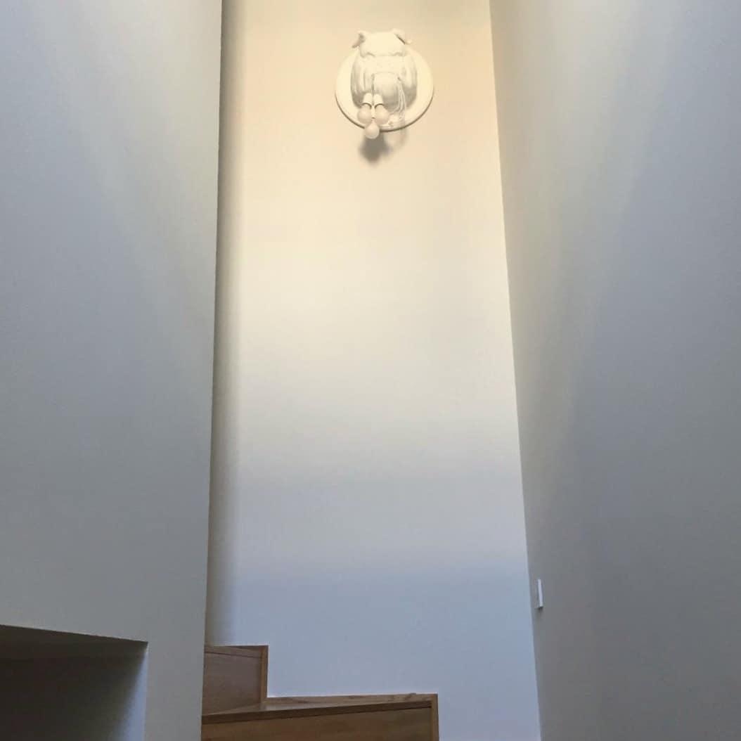Lustra Wall Lamp Bulldog Sculpture Whimsical - Letslighting