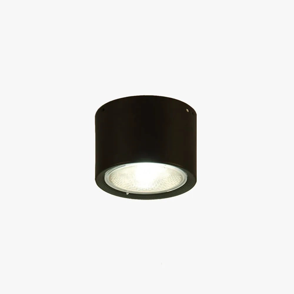 Muto Modern Round Flush Mount Ceiling Light, Wood/Black, Living Room