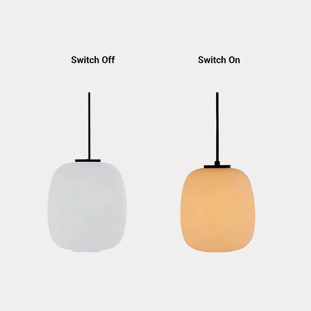 Ray Retro Lantern Pendant Light Outdoor Waterproof